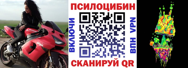 Псилоцибиновые грибы Psilocybine cubensis Заринск