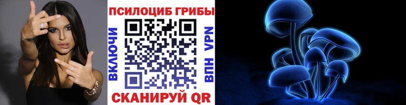Купить  Заринск  Галлюциногенные грибы Magic Shrooms 